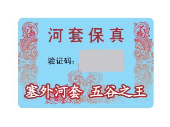 小黄片APP在线观看